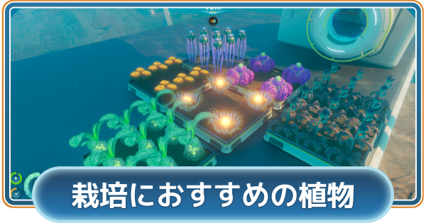 【サブノーティカ2】栽培のやり方とおすすめ植物【Subnautica2】