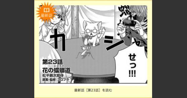 【白猫】昆虫忍者たちが登場！ひこうじま公園23、24話更新！