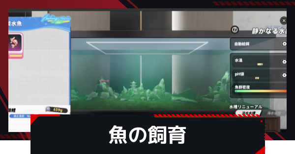 【NTE】水槽での飼育方法とアクアリウムのコツ【ネバエバ】