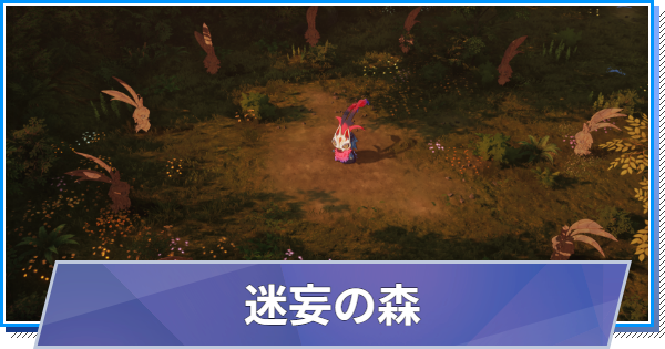 迷妄の森の解説と攻略