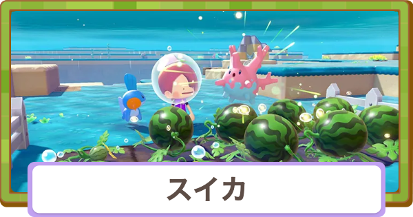 【ぽこあポケモン】スイカの入手方法と使い道【ぽこポケ】