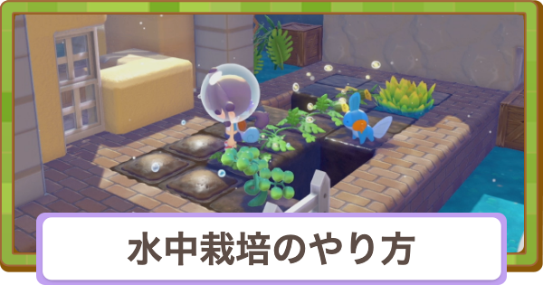 【ぽこあポケモン】水中栽培のやり方とコツ【ぽこポケ】