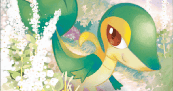【ポケポケ】ツタージャ(ロケット団の野望)の入手方法と収録パック【ポケモンカードアプリ】