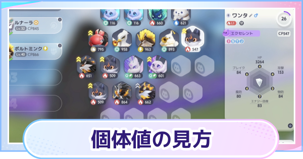 【アニモ】個体値の見方と厳選のやり方