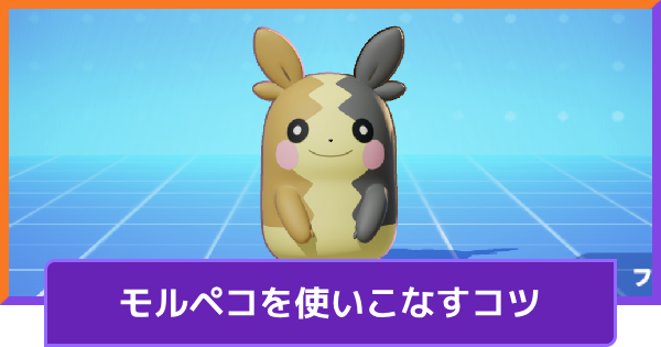 【ポケモンユナイト】モルペコの立ち回りとコンボ【UNITE】