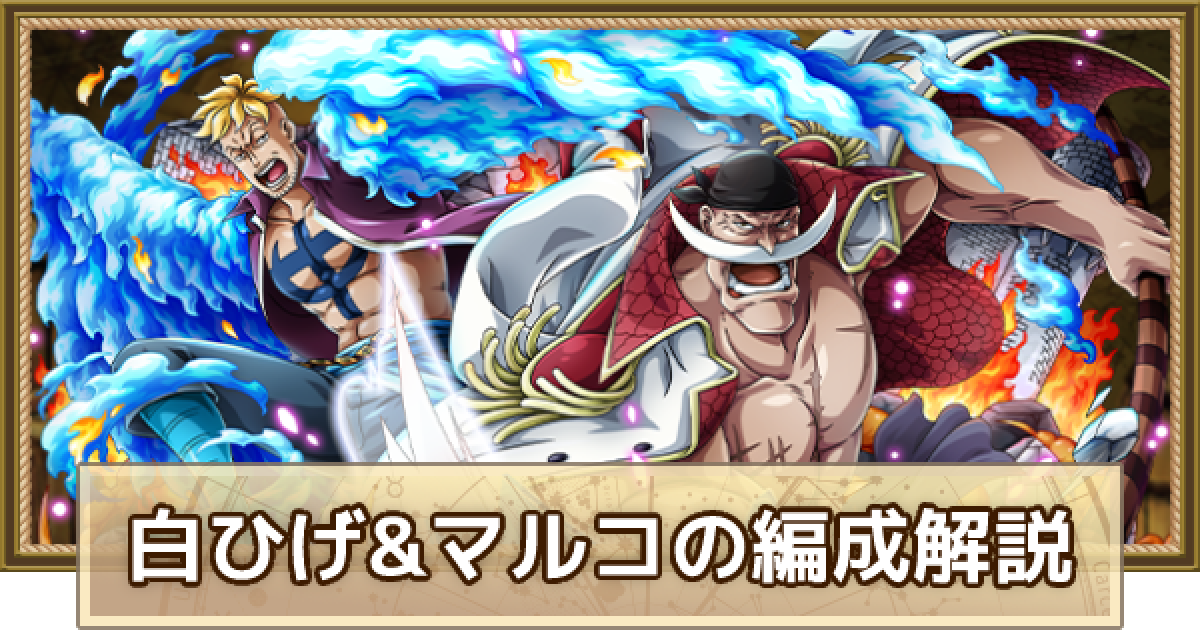 浪速のスイーツ王子様　　　　白ひげ＆マルコ スゴフェス限定フェス限超進化白ひげ＆マルコ！あれ？あれれな