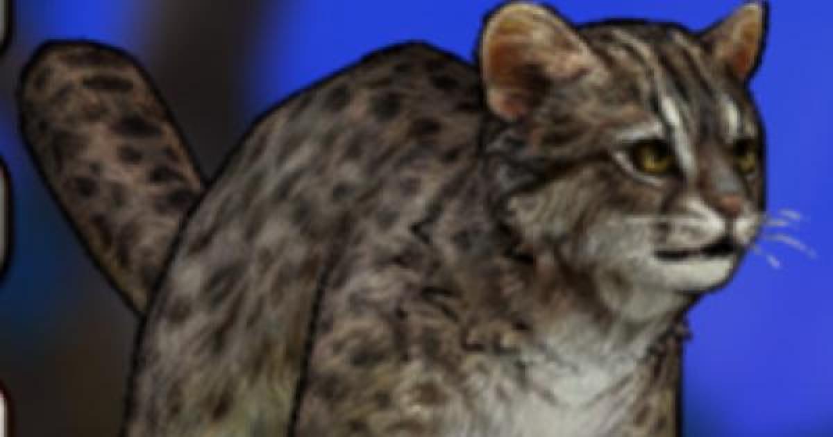 キャラスト ヤマピカリャーの評価とスキル 装備 キャラバンストーリーズ ゲームウィズ Gamewith