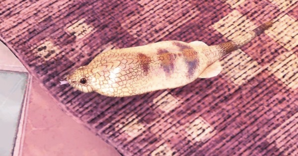 MHWアイスボーン】ツチノコの居場所と捕まえ方【モンハンワールド