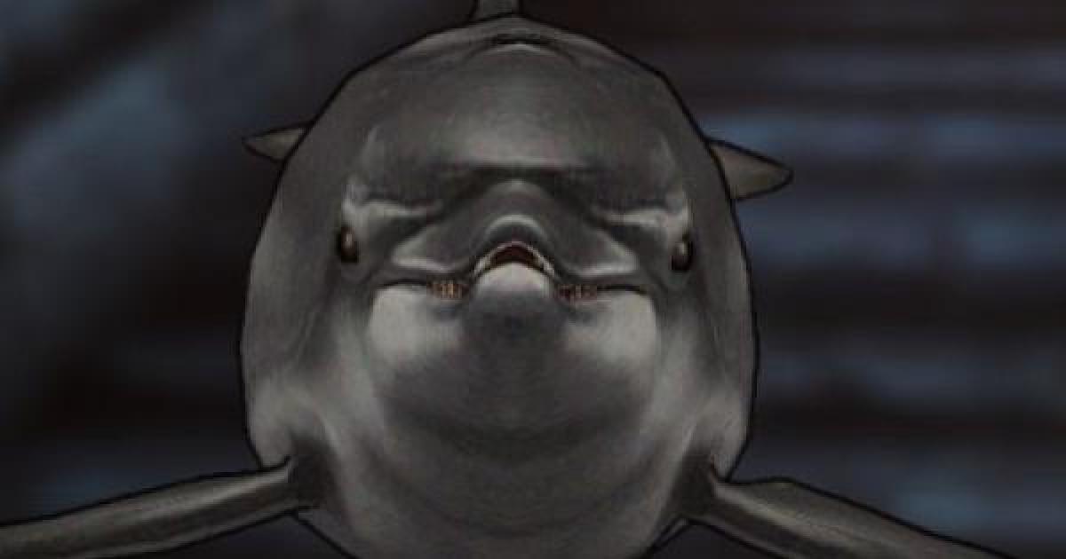 キャラスト バンドウイルカの評価とスキル 装備 キャラバンストーリーズ ゲームウィズ