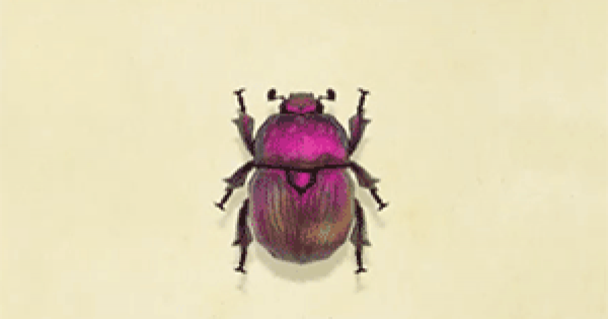 あつ森 オオセンチコガネの値段と捕まえ方 出現時間 あつまれどうぶつの森 ゲームウィズ