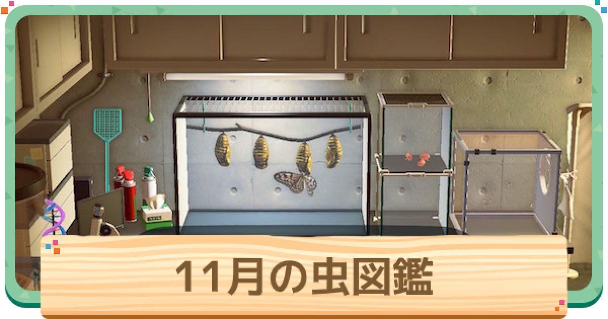 あつ森】11月の虫一覧 | 値段と出現時間・場所【あつまれどうぶつの森