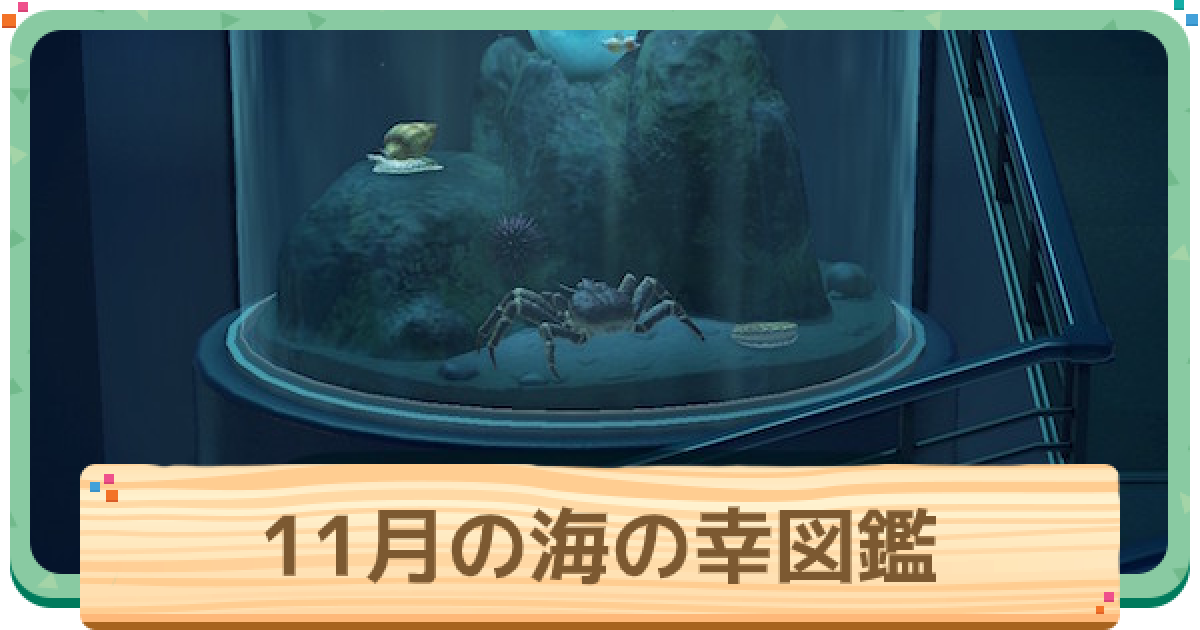 あつ森】11月の海の幸一覧 | 値段と出現時間・場所【あつまれどうぶつ