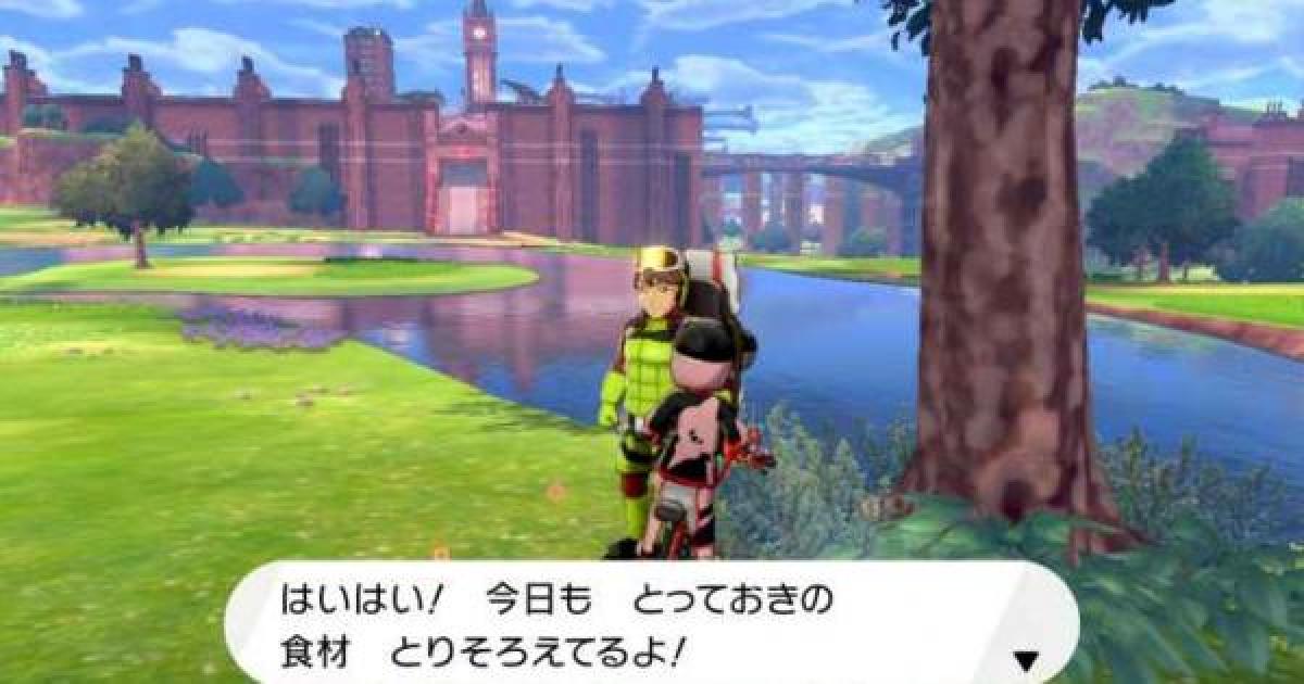 ポケモン剣盾】スパイスセットの入手方法と効果【ポケモンソード