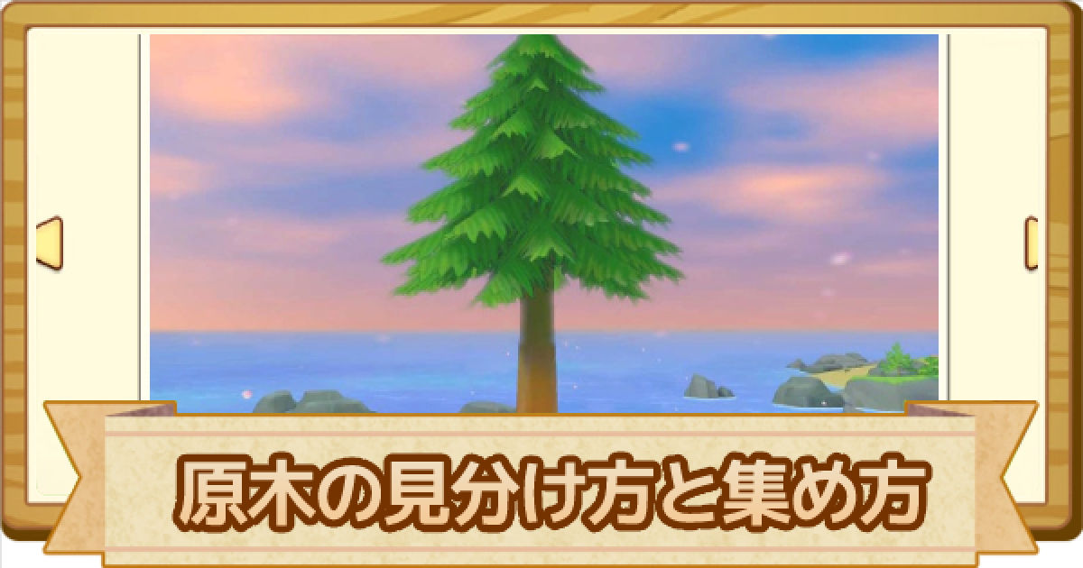 牧場物語オリーブタウン 原木の集め方と見分け方まとめ ゲームウィズ Gamewith