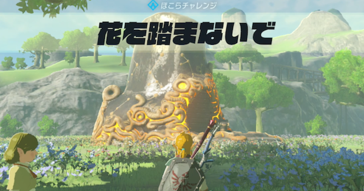 ゼルダの伝説 ブレスオブザワイルド ブレワイ ピンズ