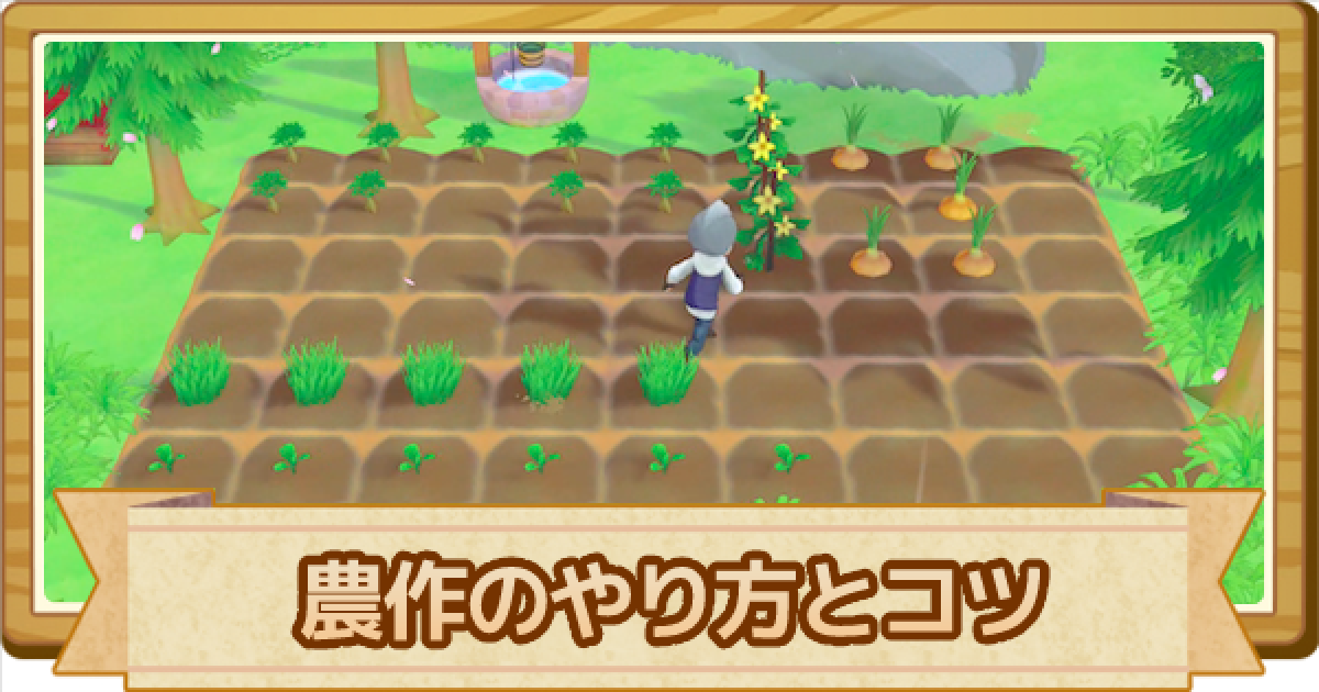 牧場物語オリーブタウン 農作のやり方とコツ ゲームウィズ