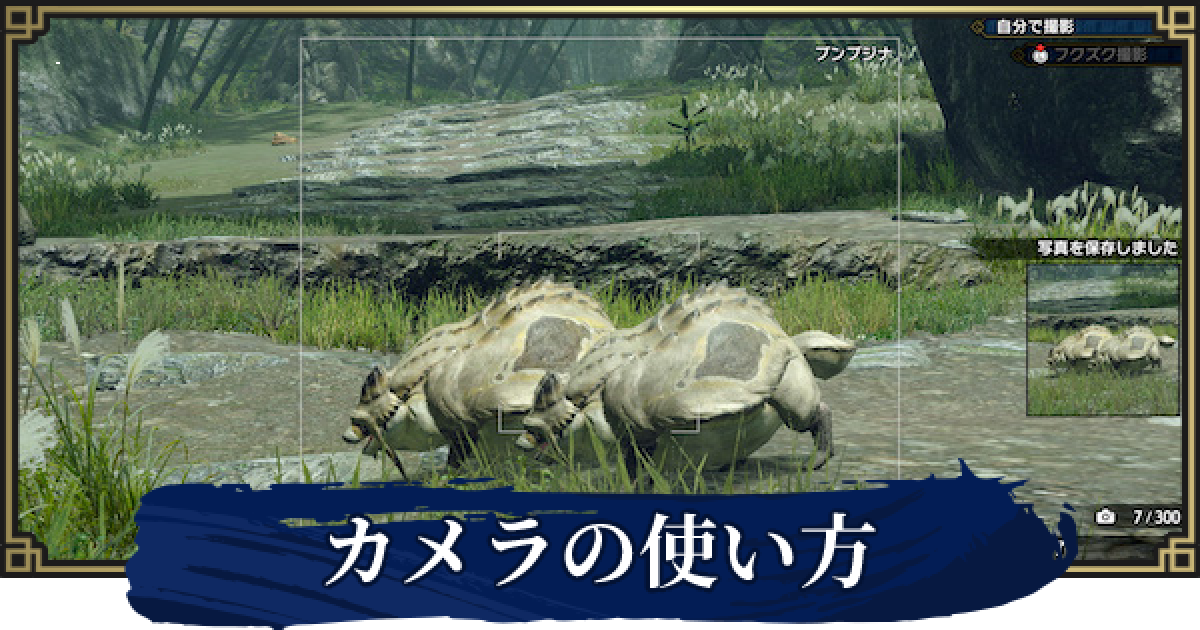 モンハンライズ カメラの使い方とできること Mhrise ゲームウィズ モンハンライズ カメラの使い方とできること Mhrise ゲームウィズ