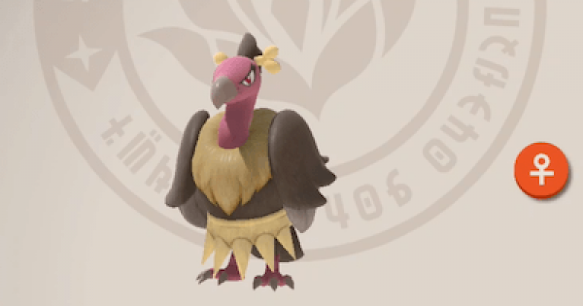 ポケモンスナップ バルジーナの出現場所 ポケスナswitch ゲームウィズ