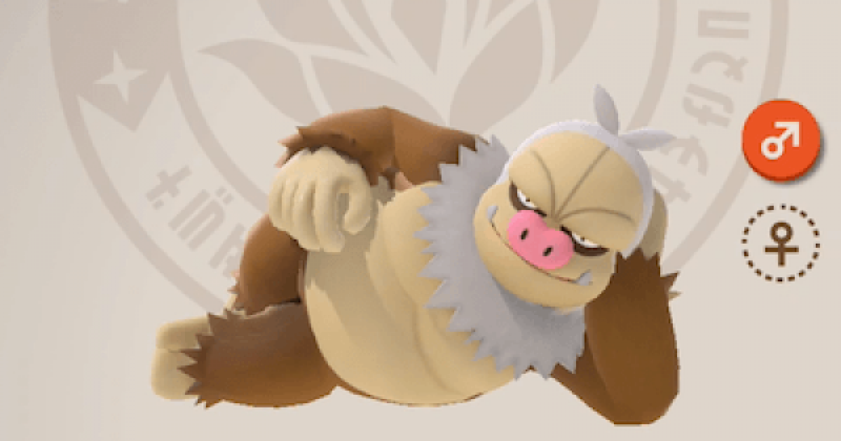 ポケモンスナップ ケッキングの出現場所 ポケスナswitch ゲームウィズ