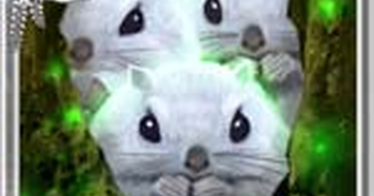 戦国炎舞 風摸猛結の性能 奥義 戦国炎舞 Kizna ゲームウィズ
