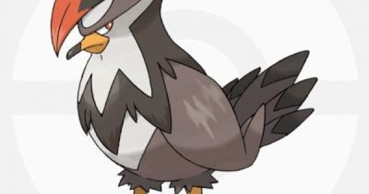 USUM】ムクホークの出現場所と種族値&覚える技【ポケモンウルトラ