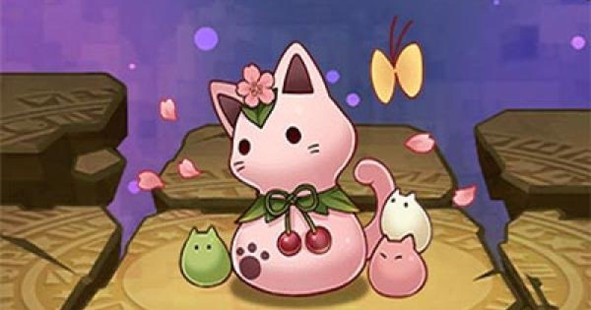チェリーキャット様、まとめ チェリーキャット様、まとめ
