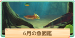 6月の魚一覧 | 値段と出現時間・場所