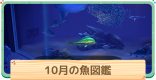 10月の魚一覧 | 値段と出現時間・場所
