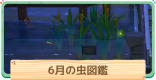 6月の虫一覧 | 値段と出現時間・場所