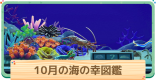 10月の海の幸一覧 | 値段と出現時間・場所