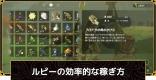 ブレスオブザワイルド 飛び込みに目覚めた男の攻略と報酬 ゼルダの伝説ブレスオブザワイルド ゲームウィズ