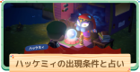ハッケミィの出現条件と占いの効果