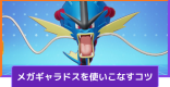 メガギャラドスの立ち回りとコンボ