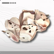 虫肉