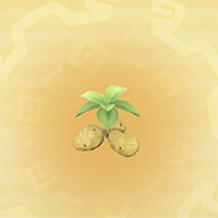 ジャガイモ畑
