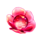 生命の宝珠