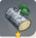 シルバーシダー材