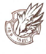 剣の担い手アイコン