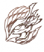 永夜の王アイコン