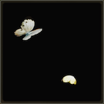 ツインバタフライα