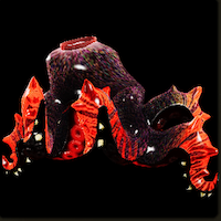 エグドネコテンタクルγ