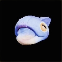 ビセイウタネコフードα