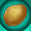 Potato
