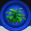 Viridian Shrubbery