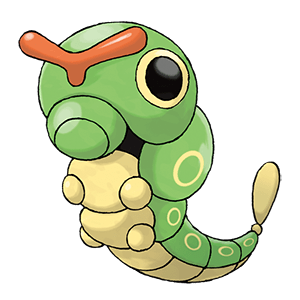 Raupy