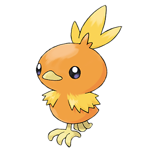Torchic