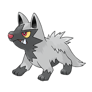 土狼犬