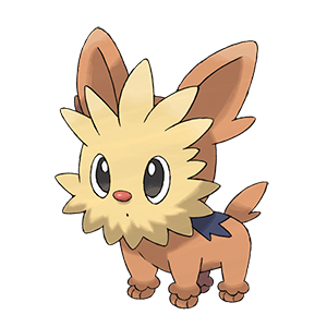 Ponchiot