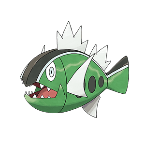 White-Striped Basculin