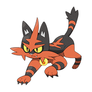 Torracat